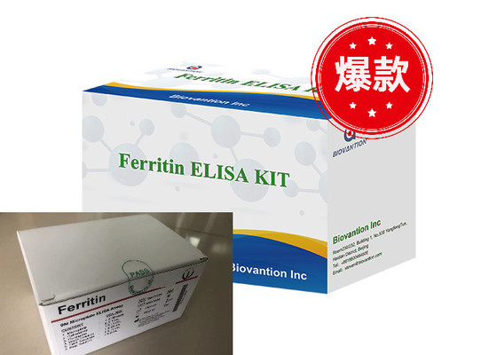 Ferritina Elisa Test Kit Prodotti legati agli enzimi Tempo di trasporto breve Alta qualità