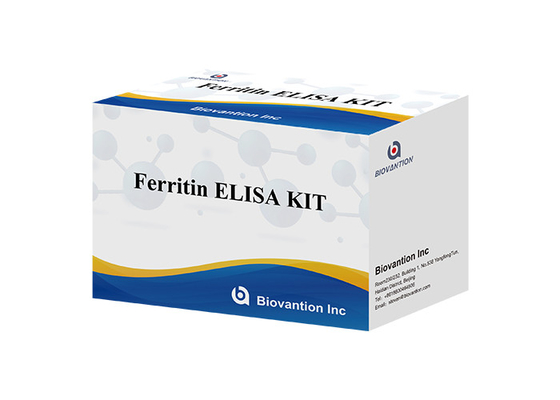 Ferritina Elisa Test Kit Prodotti legati agli enzimi Tempo di trasporto breve Alta qualità