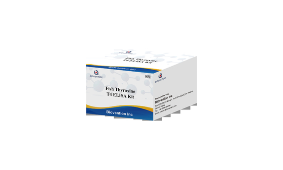 Test dell' ormone tiroideo T4 Triiodotironina ELISA TEST KIT