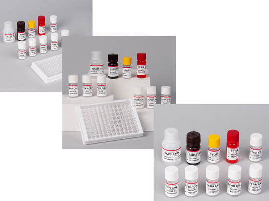 Laboratorio o ospedale Kit di test di alta precisione per la ferritina umana FE ELISA