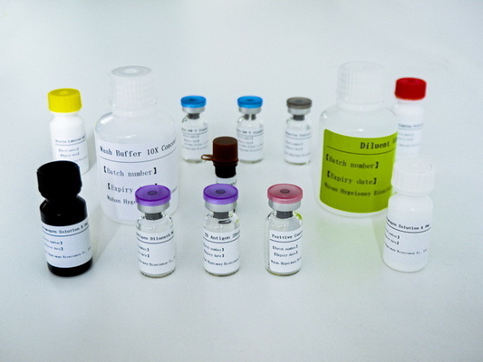 Kit di prova ELISA IGRA facile da usare per la tubercolosi con lunga durata di conservazione e metodo di conservazione 2C-8C