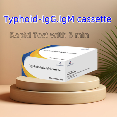 Vendita a caldo Tifoide IgM IgG Per laboratori Ospedali Tifoide Fiebre Kit di test rapido del sangue