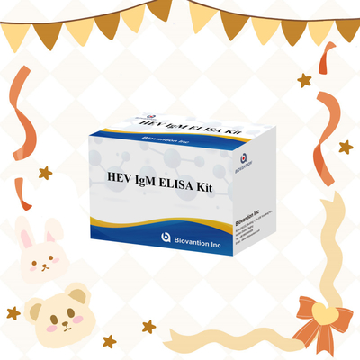 Kit di prova Elisa HEV-IgM accurato e sensibile per la diagnosi e l' analisi