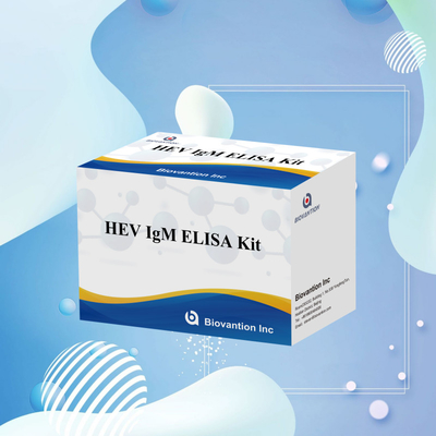Kit di prova Elisa HEV-IgM accurato e sensibile per la diagnosi e l' analisi