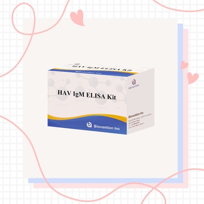 HAV IgM Elisa Test Epatite A Kit diagnostico In vitro Enzima immunoassay