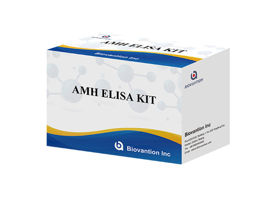 Kit di prova dell' ormone antimulleriano AMH Elisa Per uso umano con plasma sirico
