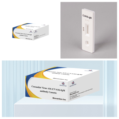 CVA16 Reagente diagnostico IVD Virus di Coxsackie A16 CVA16-IgM Anticorpo Cassetta WB/S/P Esame rapido dell'oro colloidale