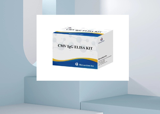 CMV IgG Elisa Test Kit ELISA Diagnostic Kit IgG Anticorpi Al Cytomegalovirus