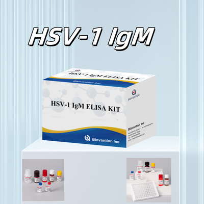 Diagnosi medica dell' HSV-1 IgM Kit di prova Elisa con durata di conservazione di 18 mesi Origine