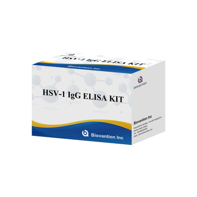 Kit di test per l'immunoassay dell'HSV-1 IgG ad alta sensibilità per il rilevamento sierologico Tipo di campione di plasma