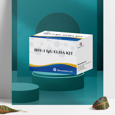 Kit di test per l'immunoassay dell'HSV-1 IgG ad alta sensibilità per il rilevamento sierologico Tipo di campione di plasma