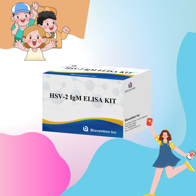 High Specificity Elisa Test Kit HSV-2 IgM per risultati rapidi e precisi Reagente medico per uso umano