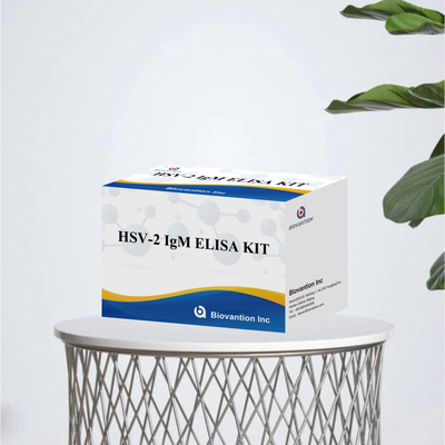 High Specificity Elisa Test Kit HSV-2 IgM per risultati rapidi e precisi Reagente medico per uso umano