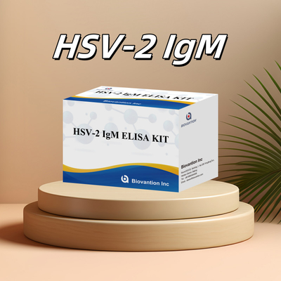 High Specificity Elisa Test Kit HSV-2 IgM per risultati rapidi e precisi Reagente medico per uso umano