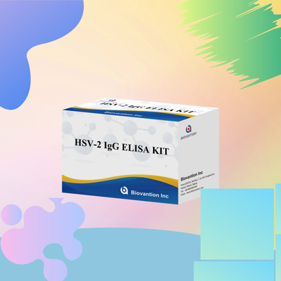 Reagente diagnostico IgG HSV-2 applicabile a livello internazionale 96 Esami kit di analisi ELISA per la diagnosi medica