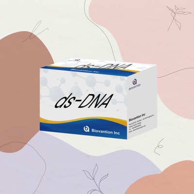 Biovantion ds-DNA Sensitivity ELISA Test Kit Reagente IVD per uso umano