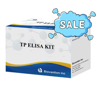 TP (Treponema pallidum) Ab ELISA Test Kit Sifilisi SYP Immunosorbente legato agli enzimi