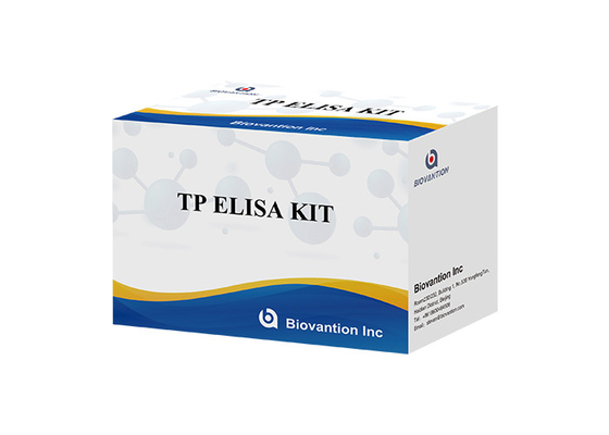 TP (Treponema pallidum) Ab ELISA Test Kit Sifilisi SYP Immunosorbente legato agli enzimi