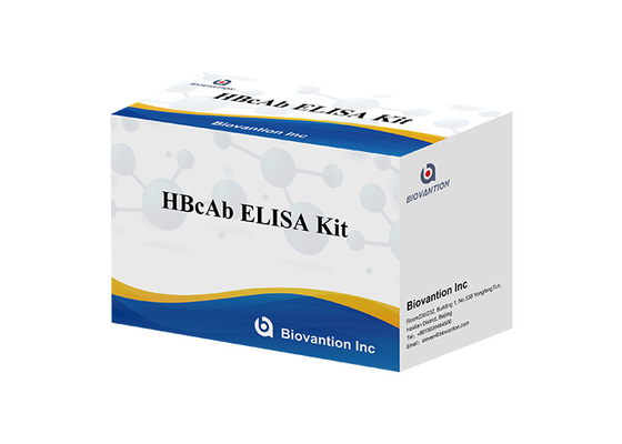 Kit di analisi HBcAb ELISA Assay Kit di rilevazione degli anticorpi Qualitativo