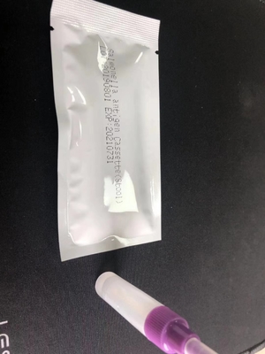 Cassetta per il test rapido di Salmonella IgG/IgM S. Typhoid Kit di test diagnostico facile da usare