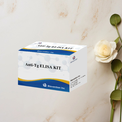 Kit di prova ELISA anti-Tg Determinazione quantitativa in vitro della tiroglobulina Ab