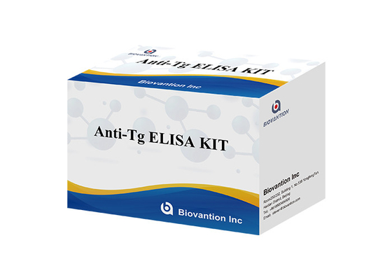 Kit di prova ELISA anti-Tg Determinazione quantitativa in vitro della tiroglobulina Ab