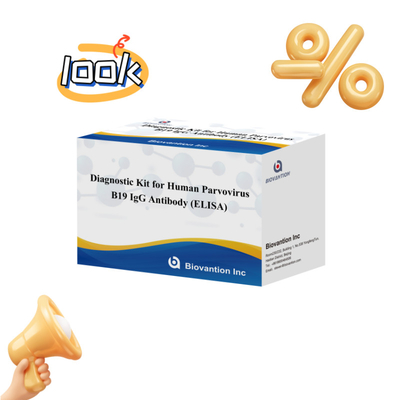 Factory Direct Sale B19 ELISA Kit Per Parvovirus Umano B19 IgM Anticorpo Elisa Test Kit Con 96T