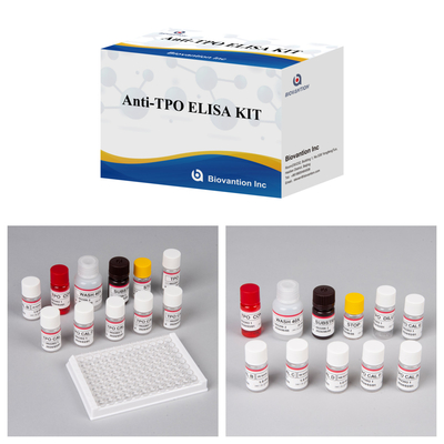 Kit diagnostico per l'uomoAnti-TPO per ospedali e laboratori con 96 test