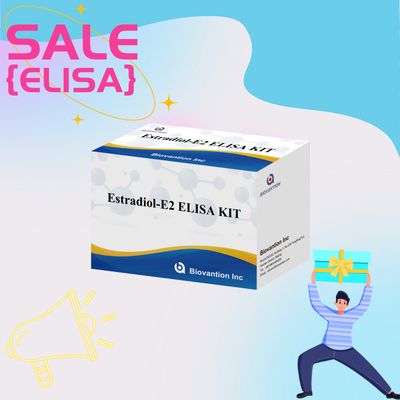 prezzo di fabbrica E2 kit di prova ELISA In Vitro Detection Medical Detection Alta precisione
