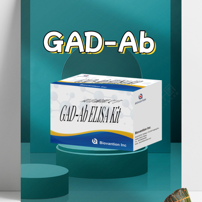 Test ELISA GAD Acido glutammico decarbossilasi Anticorpo Reagente di diagnosi medica per l'uomo con 96 test