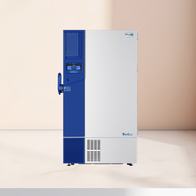 Sistema di conversione a doppia frequenza del congelatore a bassa temperatura