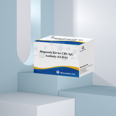 Anticorpi CBV-IgG altamente specifici per l'individuazione umana