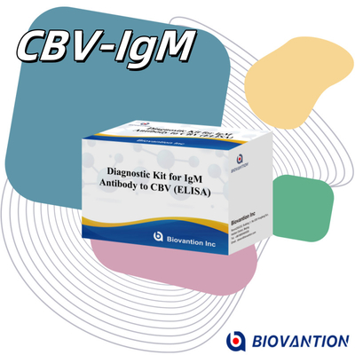 Reagente diagnostico per il CBV igm ELISA KIT D 18 mesi Durata di conservazione Test di analisi immunosorbente legato agli enzimi
