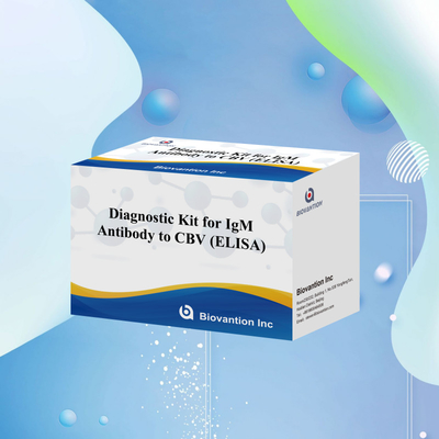 Reagente diagnostico per il CBV igm ELISA KIT D 18 mesi Durata di conservazione Test di analisi immunosorbente legato agli enzimi
