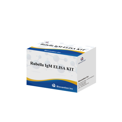 Kit di prova Elisa per la Rubella Strumento di rilevamento IgM per gli anticorpi IgG della Rubella in uso umano