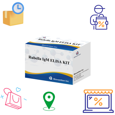 Kit di prova Elisa per la Rubella Strumento di rilevamento IgM per gli anticorpi IgG della Rubella in uso umano