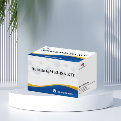 Kit di prova Elisa per la Rubella Strumento di rilevamento IgM per gli anticorpi IgG della Rubella in uso umano