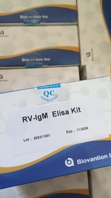 Sensibilità RV-M Elisa Rapid Tempo di analisi di 2-3 ore per risultati accurati