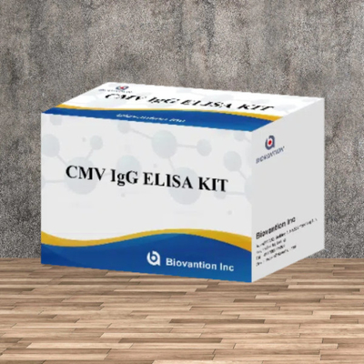 Laboratorio o ospedale Kit di prova CMV IgG Elisa ad alta precisione