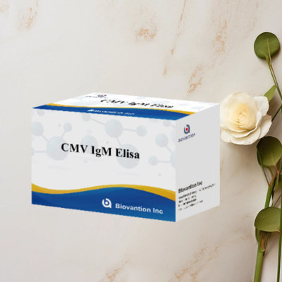 CMV IgM ELISA Kit Test preventivo ad alta precisione per le donne incinte