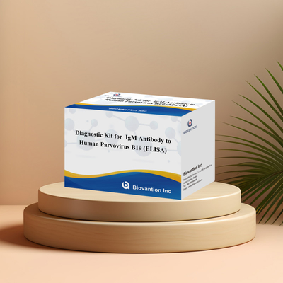 Kit diagnostico per uso umano per il parvovirus B19 IgM anticorpo umano Kit di prova Elisa con 96T