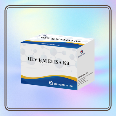 Kit di prova Elisa HEV-IgM accurato e sensibile per la diagnosi e l' analisi