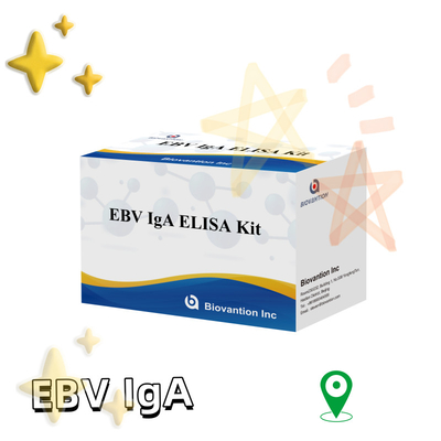 EBV HUMAN ELISA Test Kit 2-8°C Sensitivity Diagnostic Kit per IgA Anticorpo contro EBV-EA