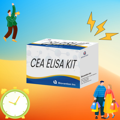 Reagenti ELISA umani CEA Kit di prova quantitativo Elisa Sanguina o siero 96T