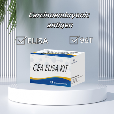 Reagenti ELISA umani CEA Kit di prova quantitativo Elisa Sanguina o siero 96T