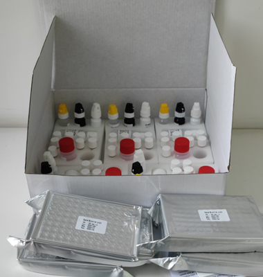 Laboratorio o ospedale Kit di prova Elisa ad alta precisione H. pylori IgG
