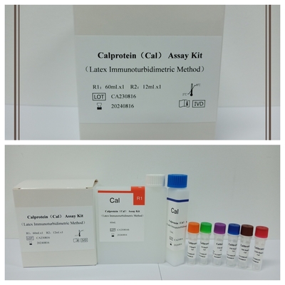 Kit di prova accurato per il calcolatore di calproteina per la diagnosi e la gestione delle malattie