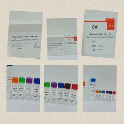 Kit di prova accurato per il calcolatore di calproteina per la diagnosi e la gestione delle malattie