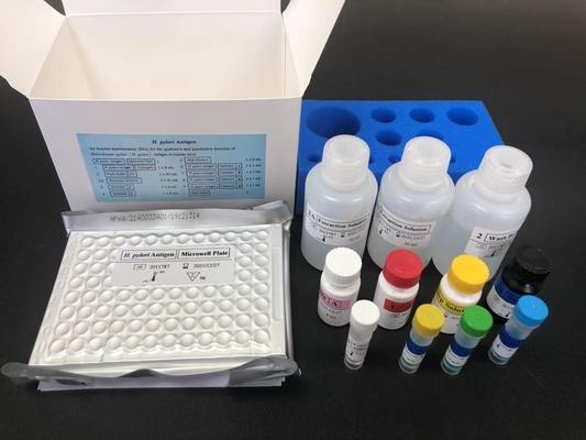 Helicobacter HP Anticorpo IgG Kit ELISA H.Pylori IgG