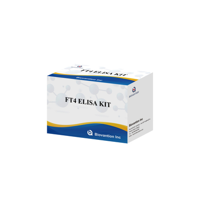 Kit di prova FT4 Elisa per analisi quantitativa e qualitativa